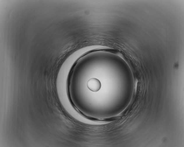 X0000094350711200711091452