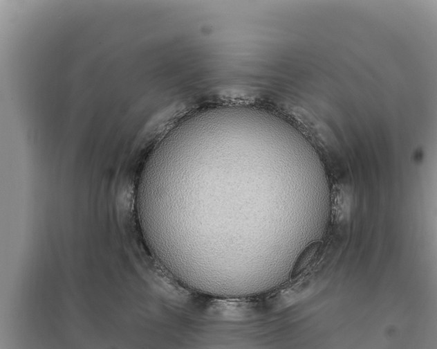 X0000094350713200711091452