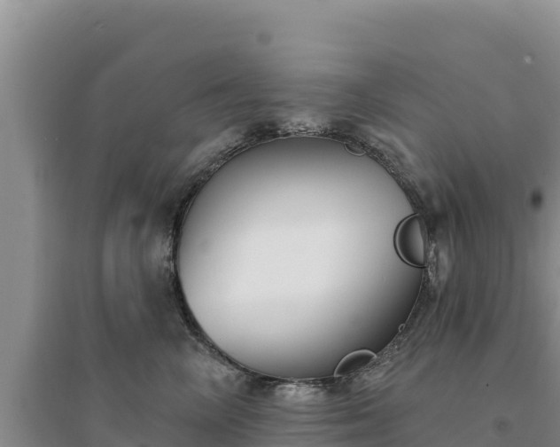 X0000094350714200711091452