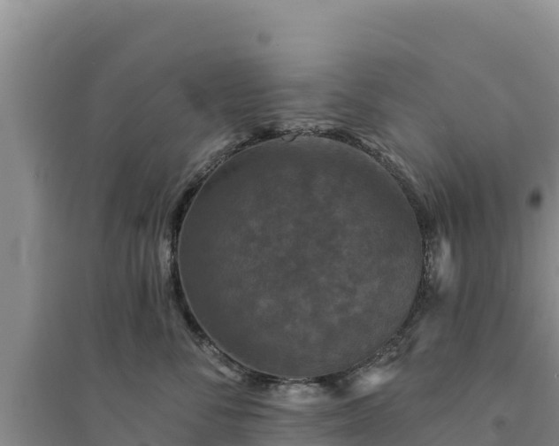 X0000094350716200711091452