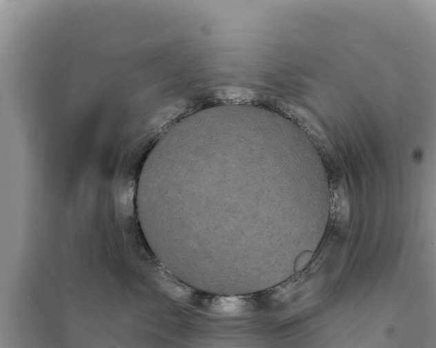 X0000094350717200711091452