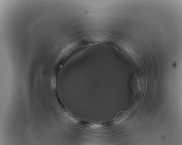 X0000094350718200711091452