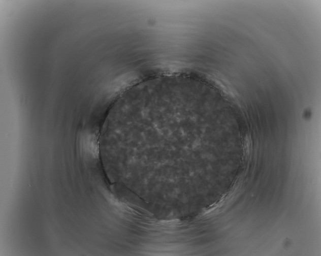 X0000094350719200711091452