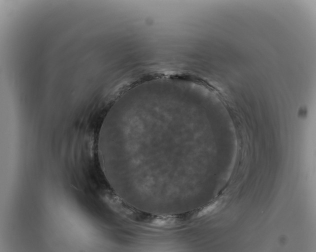 X0000094350720200711091452