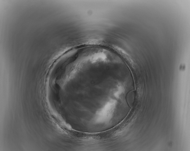 X0000094350721200711091451