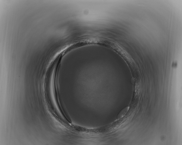 X0000094350722200711091451