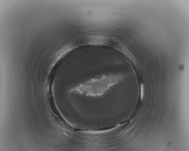 X0000094350723200711091451