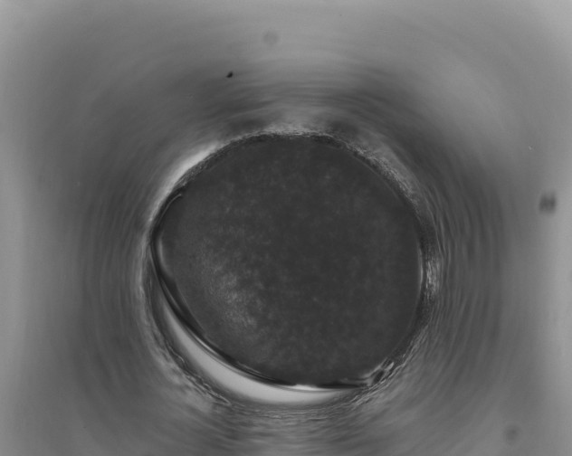 X0000094350724200711091451