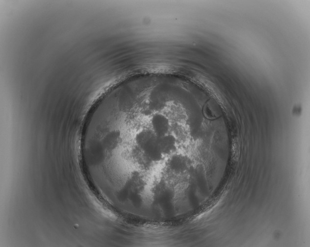 X0000094350725200711091451