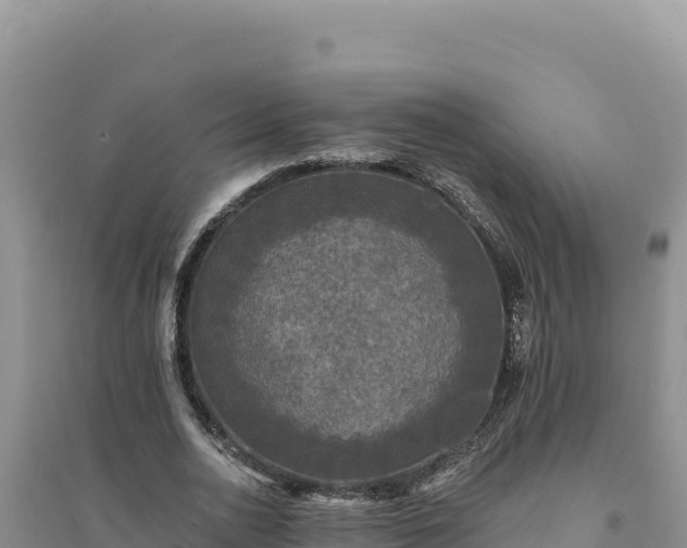 X0000094350726200711091451