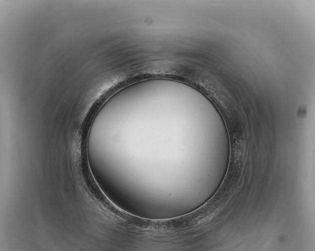 X0000094350727200711091451