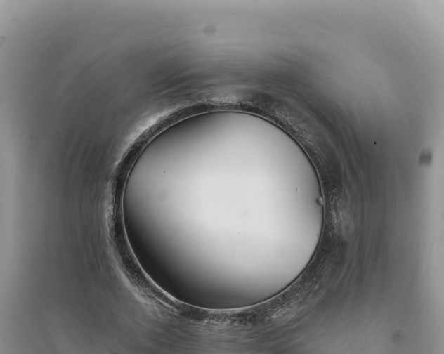 X0000094350728200711091451