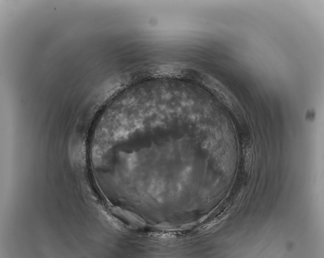 X0000094350729200711091451