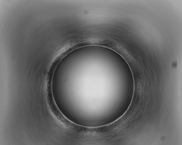 X0000094350730200711091452