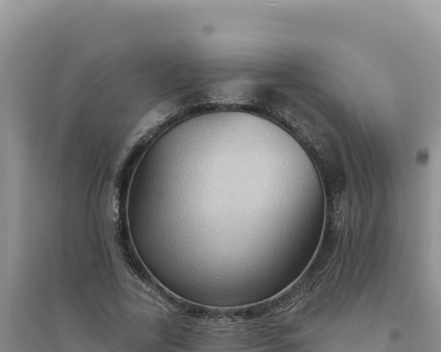 X0000094350731200711091452