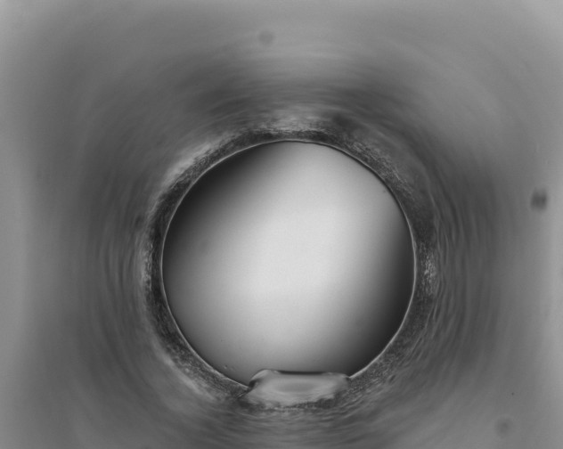 X0000094350732200711091452