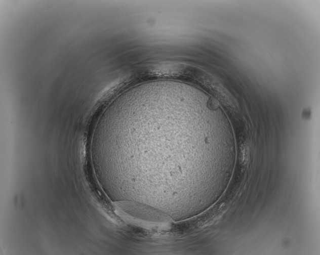 X0000094350733200711091452