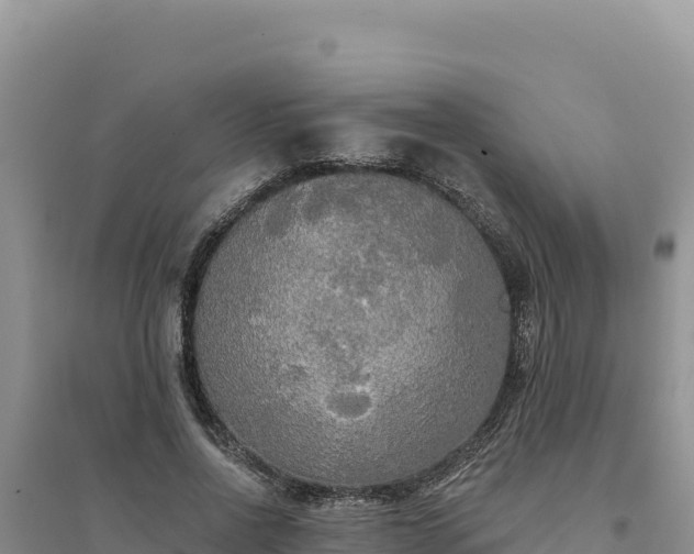 X0000094350734200711091452