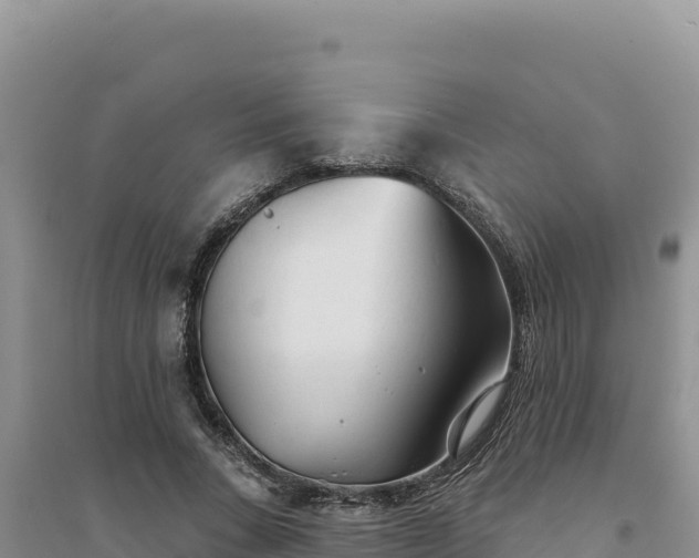 X0000094350735200711091452