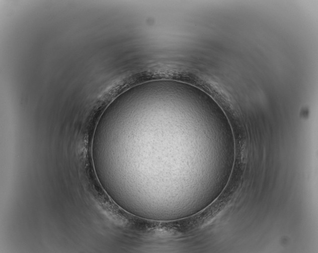 X0000094350737200711091452