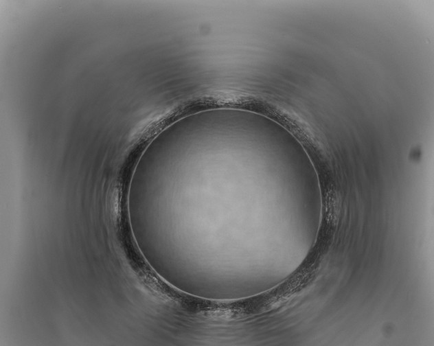 X0000094350740200711091452