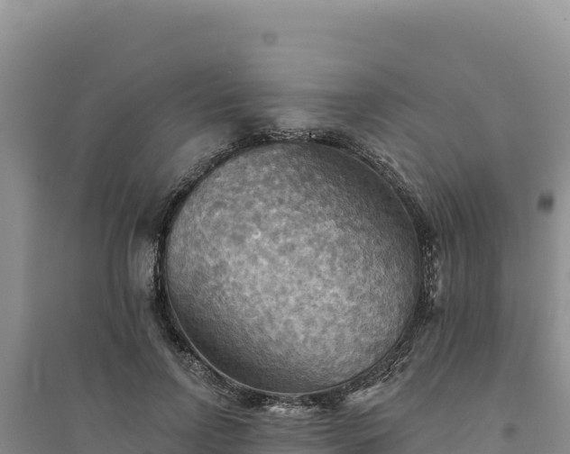 X0000094350742200711091452