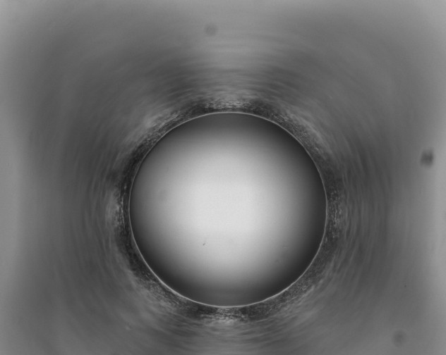 X0000094350743200711091452