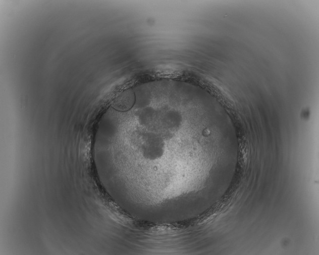 X0000094350745200711091452