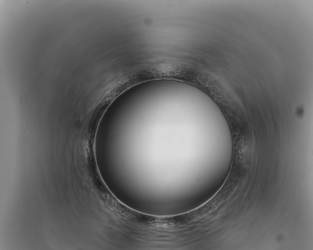 X0000094350746200711091452