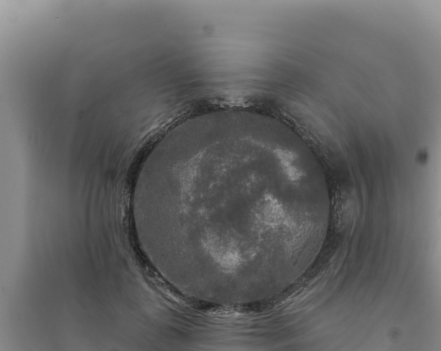 X0000094350747200711091452