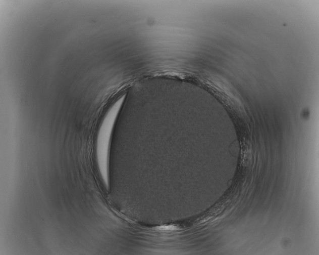 X0000094350748200711091452