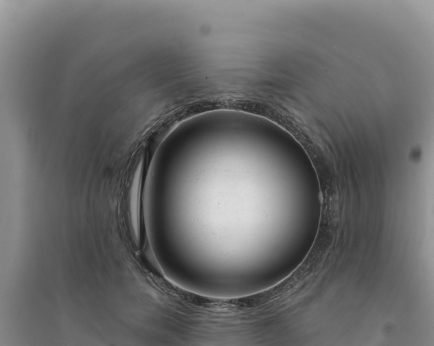 X0000094350750200711091452