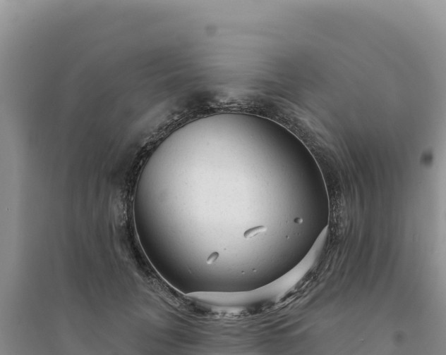 X0000094350751200711091452