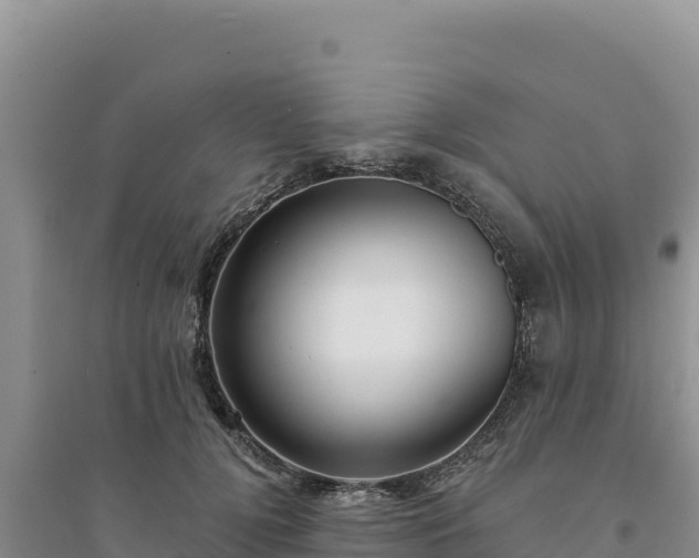 X0000094350752200711091452