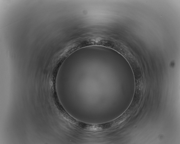 X0000094350754200711091452