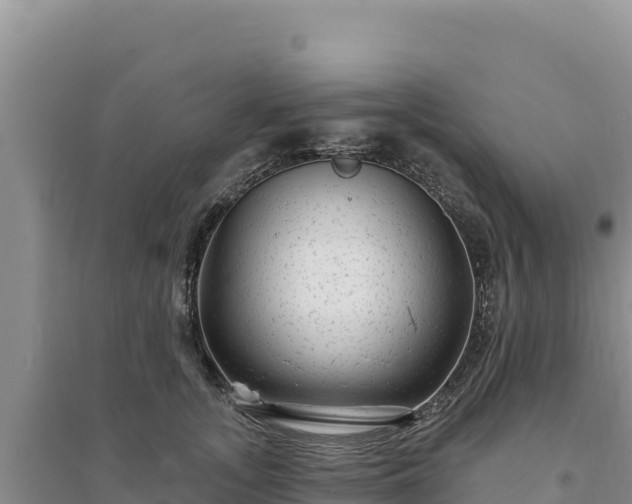 X0000094350755200711091452