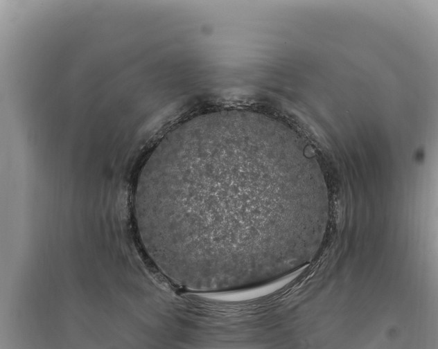 X0000094350757200711091452