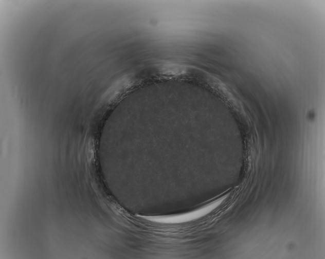 X0000094350758200711091452