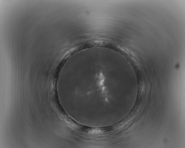 X0000094350759200711091452