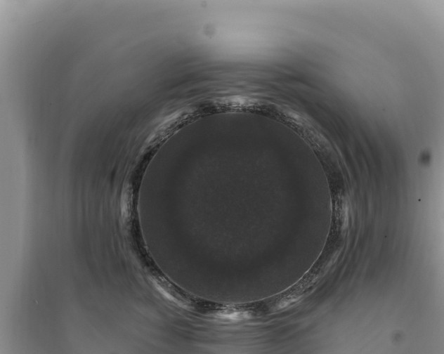 X0000094350760200711091452