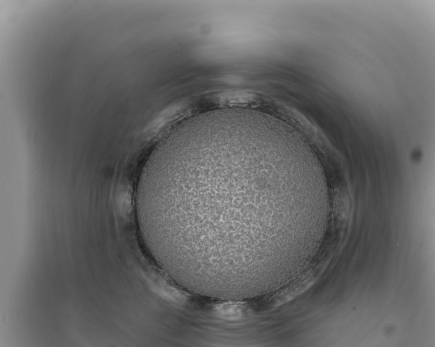 X0000094350761200711091452