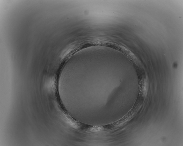 X0000094350762200711091452