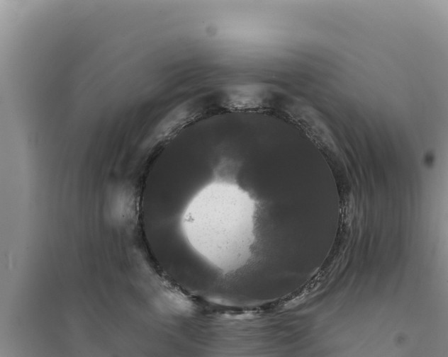 X0000094350763200711091452