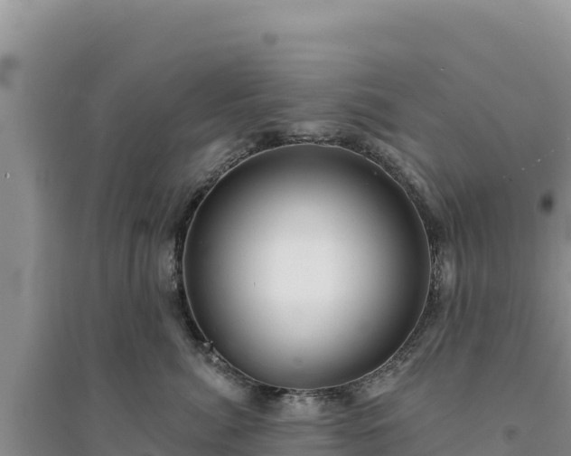 X0000094350764200711091452