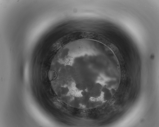 X0000094350765200711091452