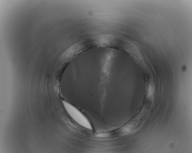 X0000094350766200711091452