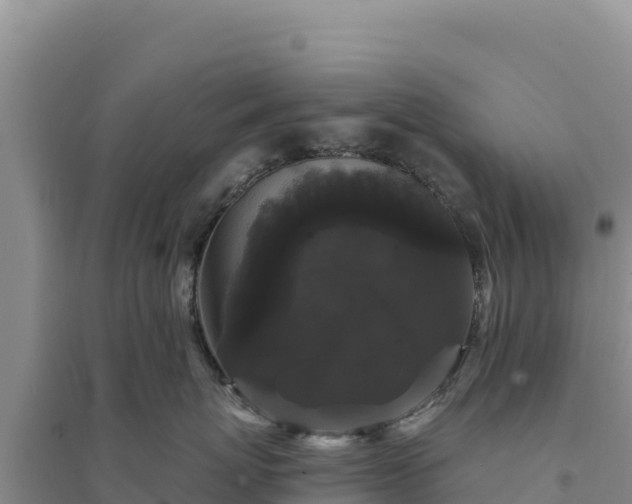 X0000094350767200711091452