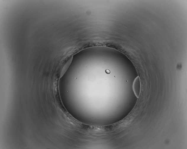 X0000094350768200711091452