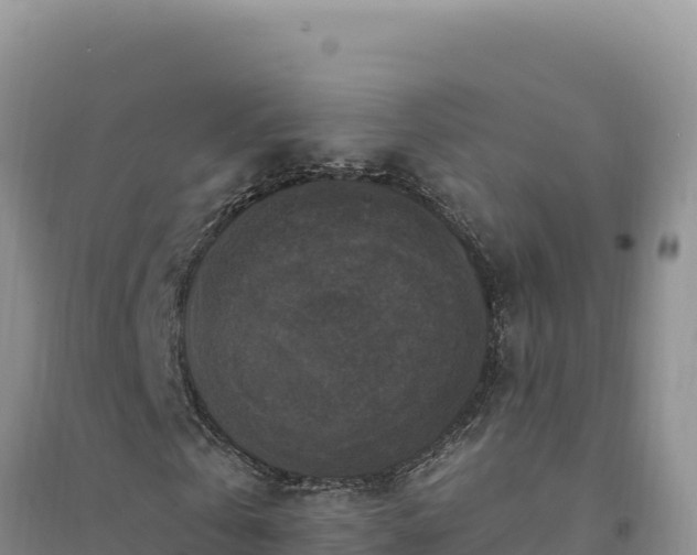 X0000094350769200711091451