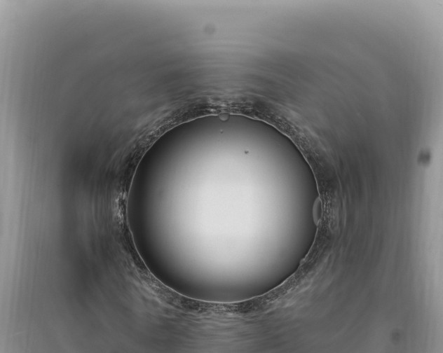 X0000094350770200711091451